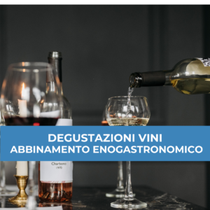 TECNICHE DI DEGUSTAZIONE VINI E ABBINAMENTO ENOGASTRONOMICO (50 ORE)