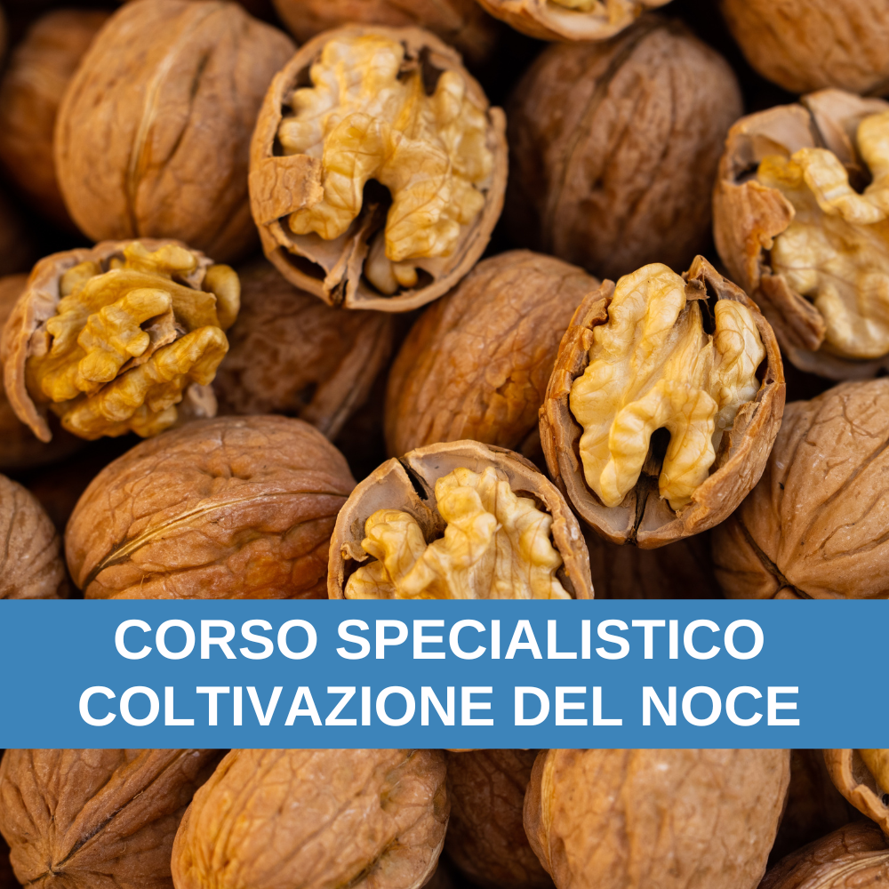 Corso di Formazione specialistico sulla coltivazione del noce