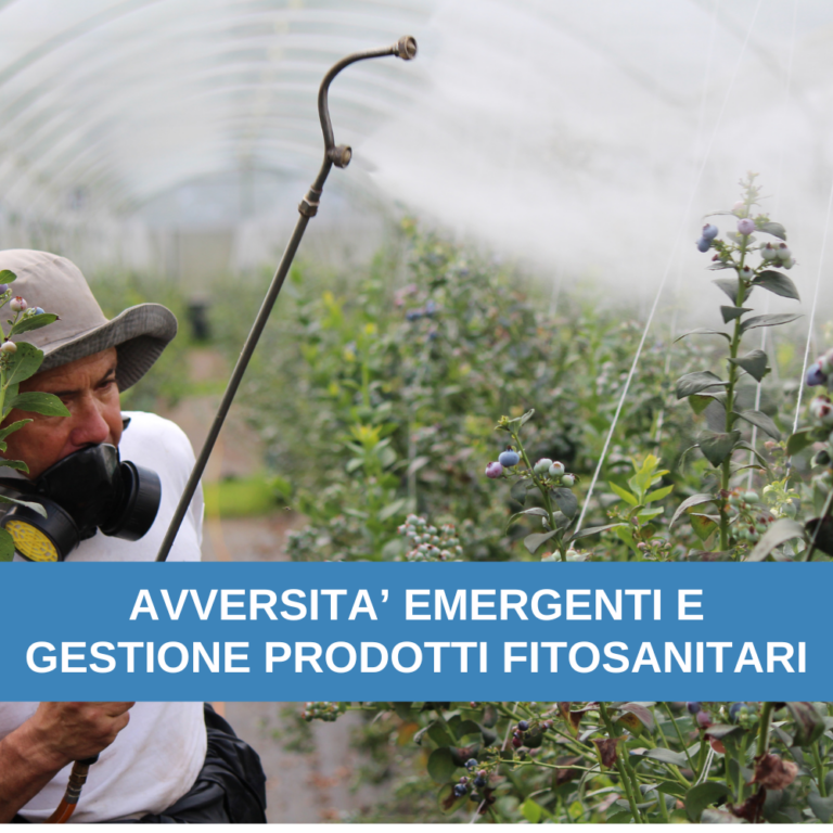 FITOFARMACI